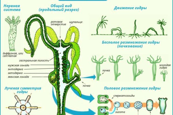 Кракен купить меф