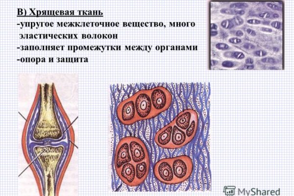 Как восстановить пароль кракен